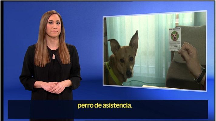 En lengua de signos - En lengua de signos - 20/01/19