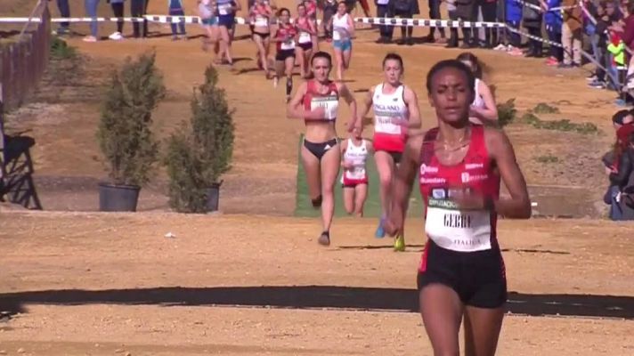 Cross - Internacional de Itálica 2019 Carrera Femenina