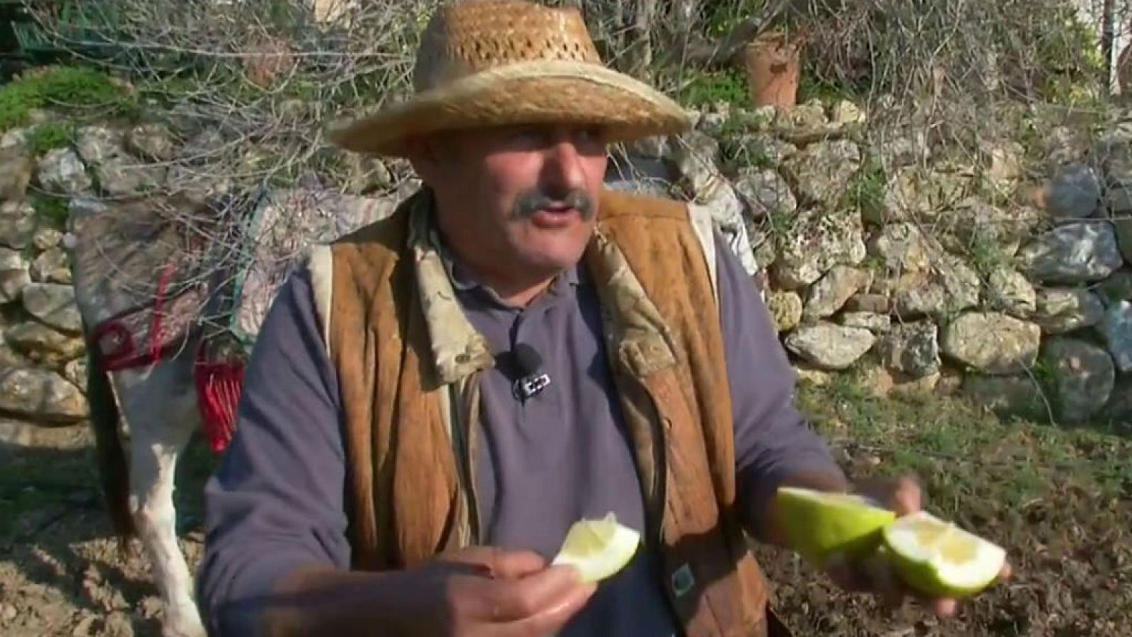 Juanito Orange y Lemon