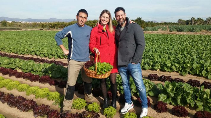 Aquí la Tierra - La lechuga, protagonista del plato
