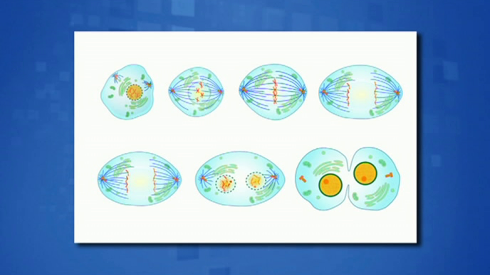 Saber y ganar - 22/01/19 - ver ahora
