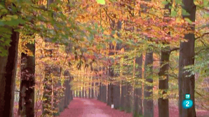 La aventura del Saber - ¿Cuánto le queda al planeta?