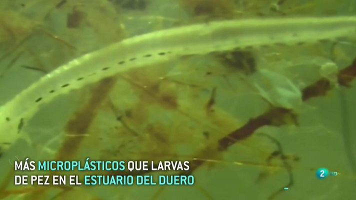 La 2 Noticias - Más plásticos que peces