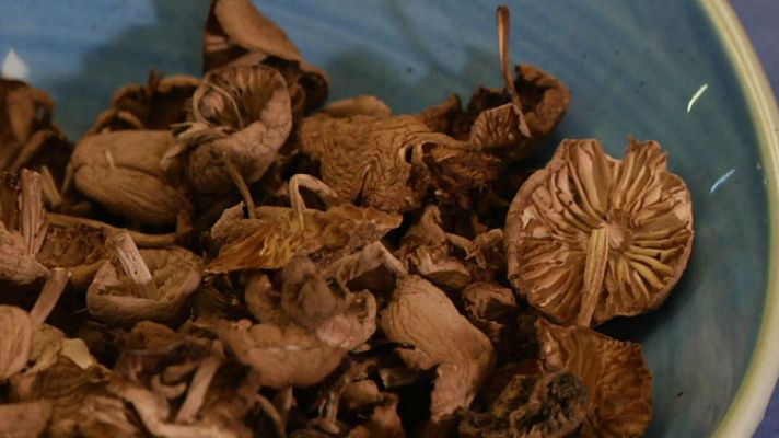 Aquí la Tierra - Disfruta de las setas ¡todo el año!