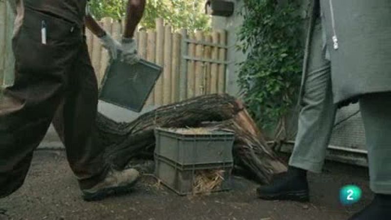 La meva mascota i jo - La hist�ria de la Blava, l'eri��