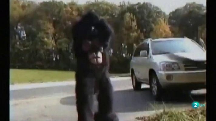 La 2 Noticias - CUTRECON, los bodrios cinematográficos