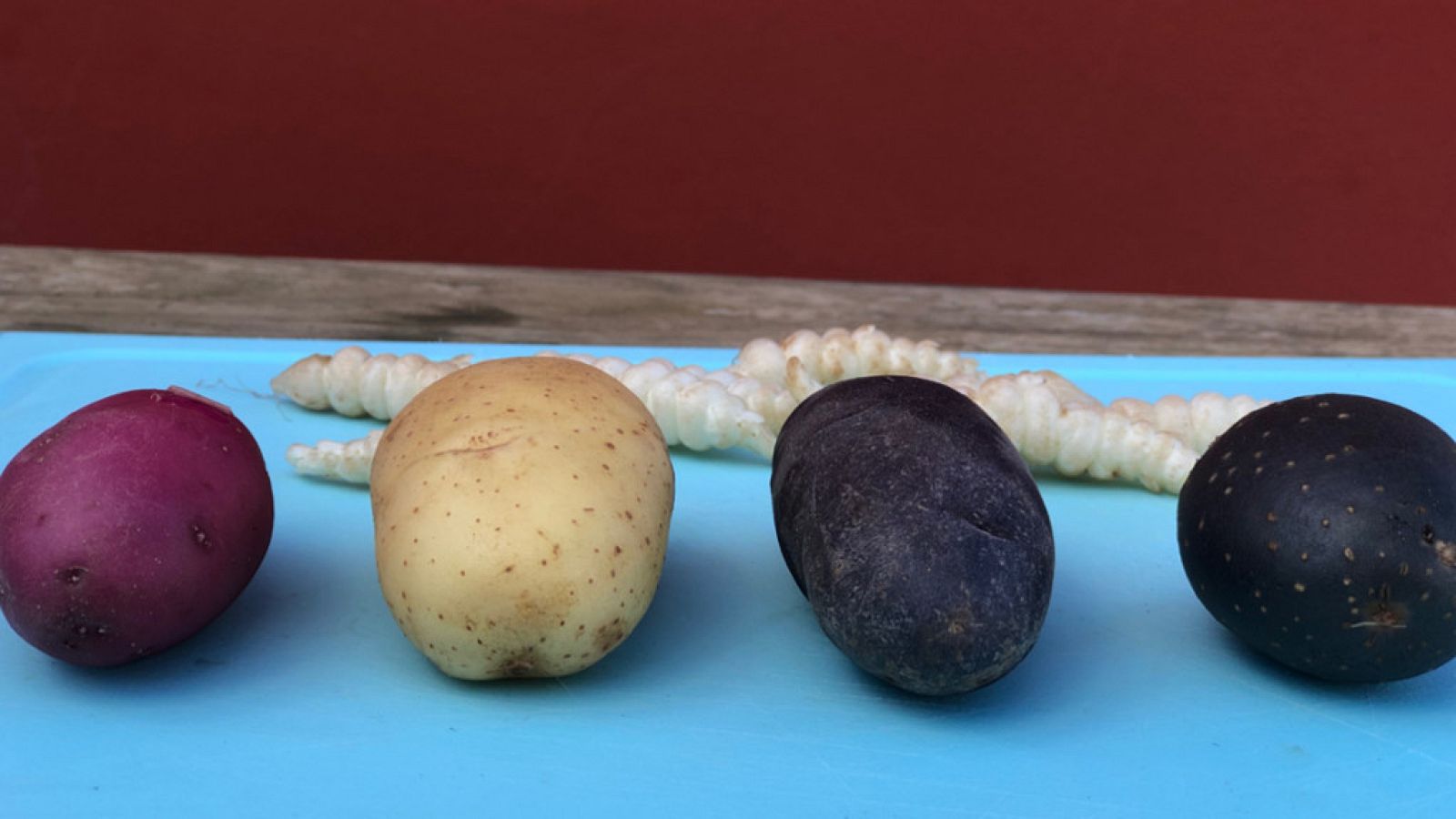 Aquí la Tierra - 24/01/19 - ver ahora