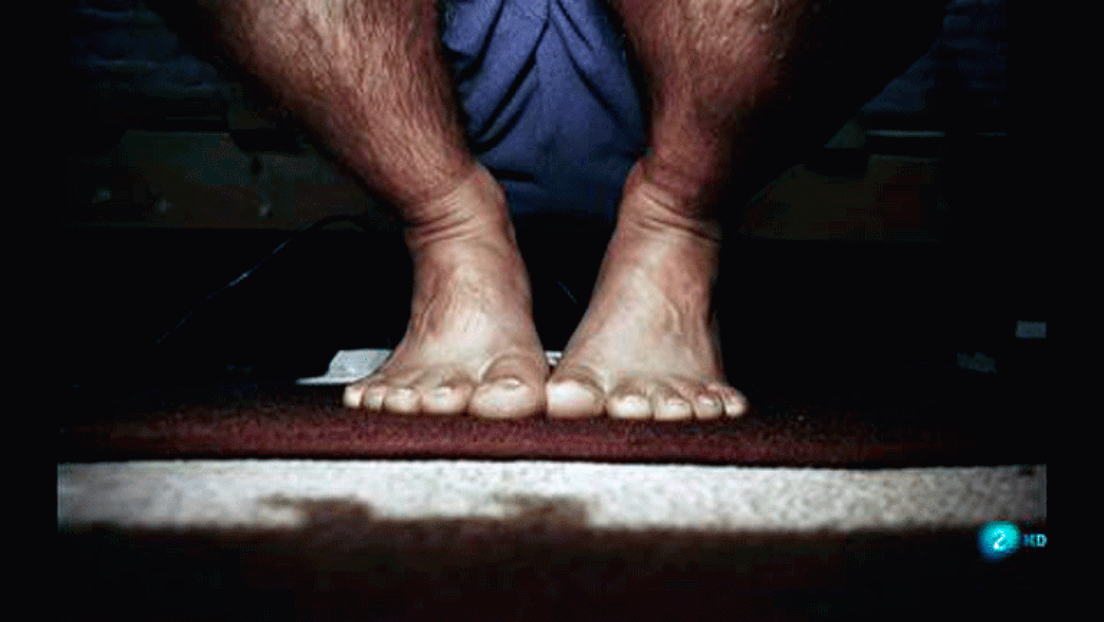 La aventura del saber Ecos de un día cualquiera  Boek visual: Patricio M Lueiza