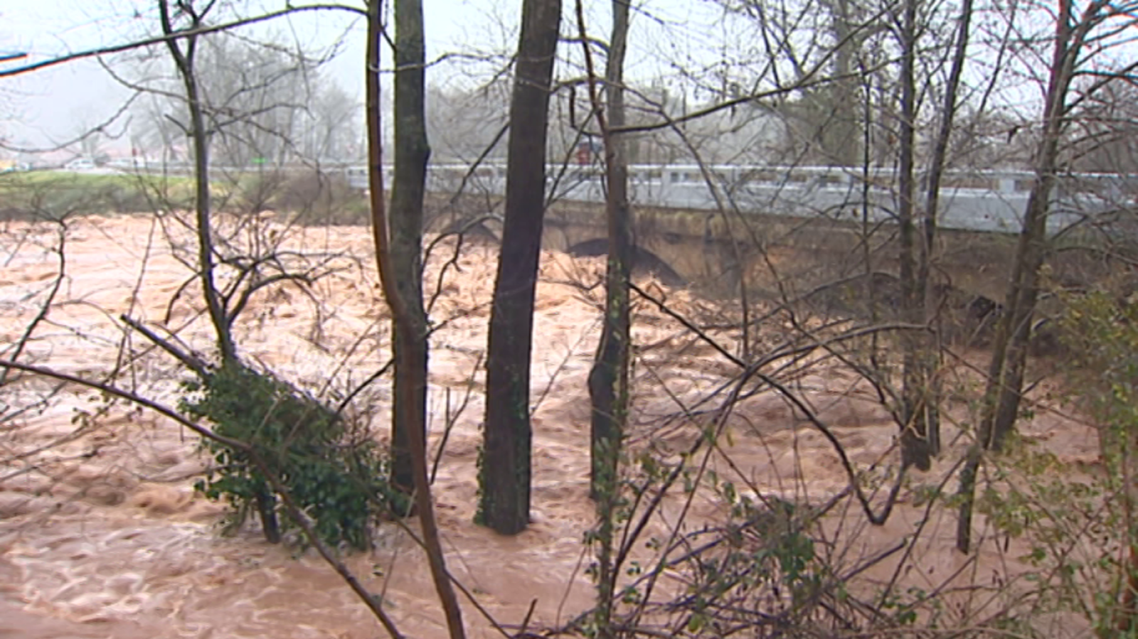 Agrosfera - 26/01/19 - ver ahora