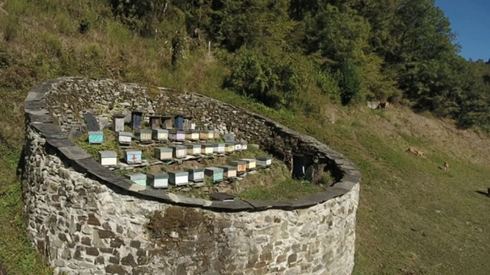 El señor de los bosques - El Moal