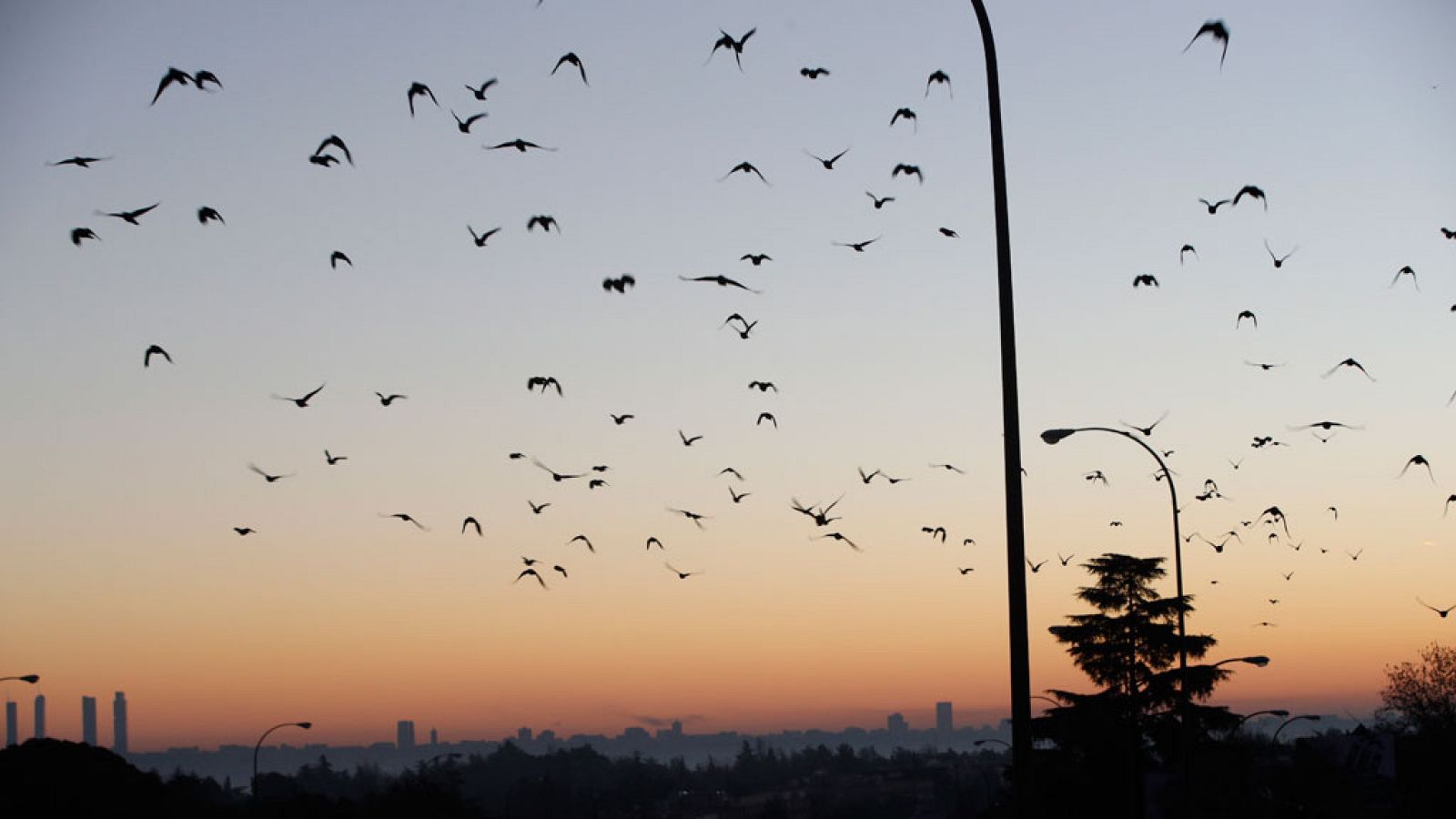 El Tiempo en la Comunidad de Madrid - 28/01/19 -- ver ahora