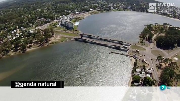 La aventura del Saber - Agenda natural