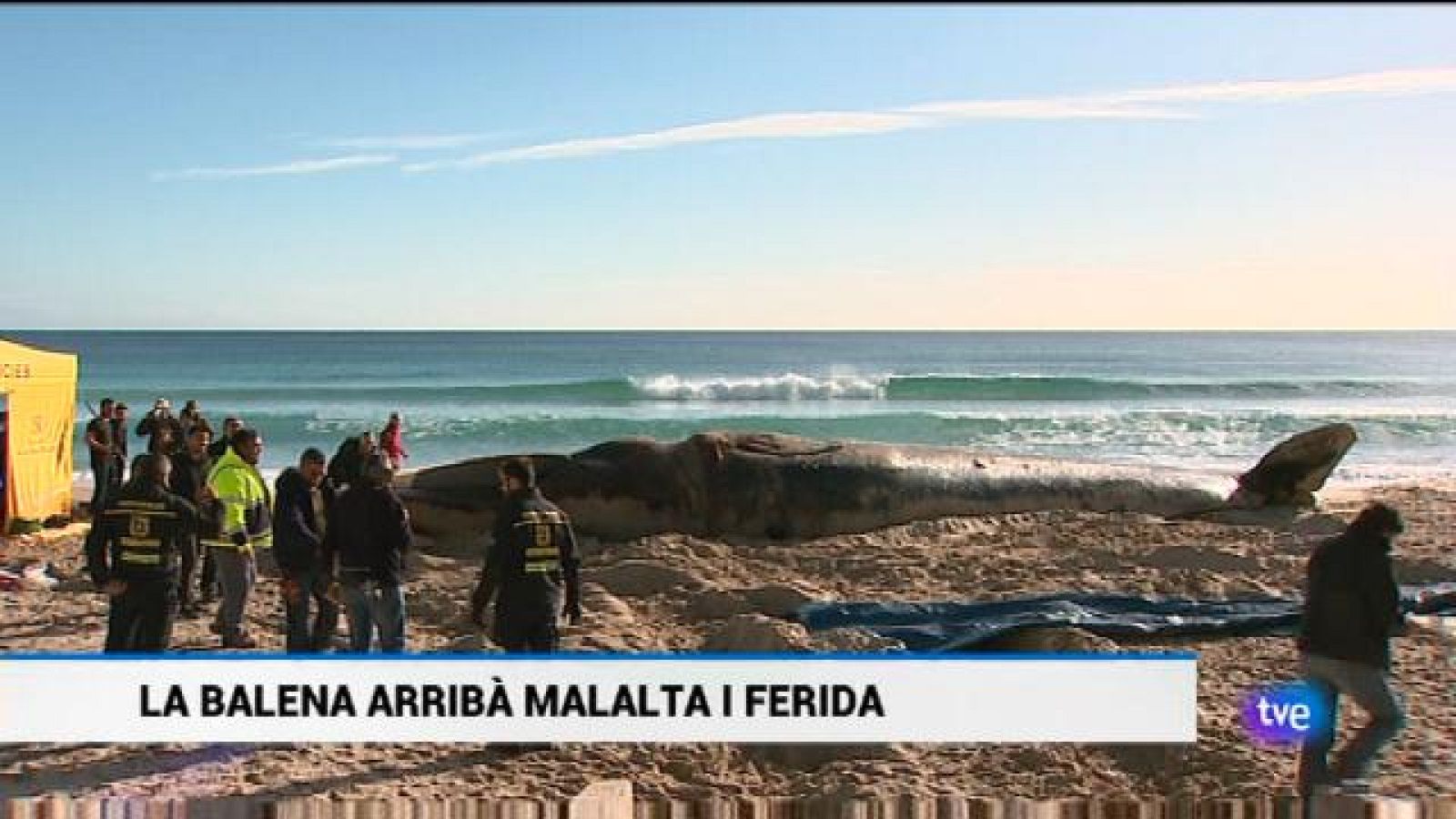 Informatiu Balear - 28/01/19