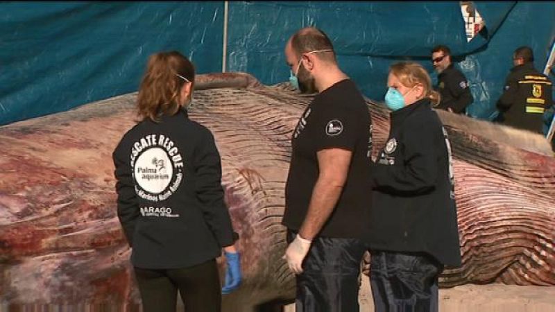 Informatiu Balear 2 - 28/01/19