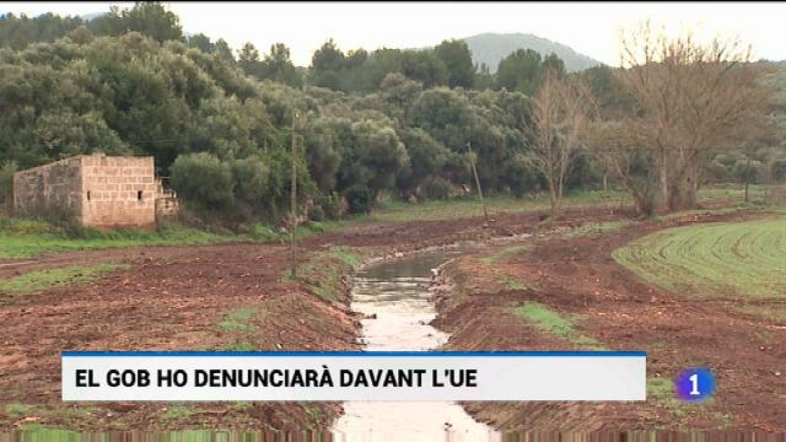 Informatiu Balear en 2' - 29/01/19