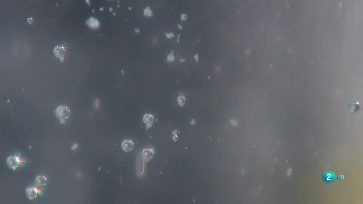 La 2 Noticias - La investigación médica a examen