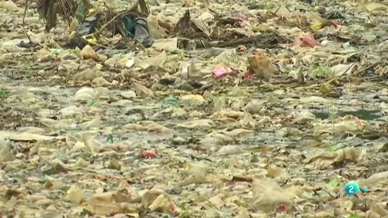 Más plásticos que peces