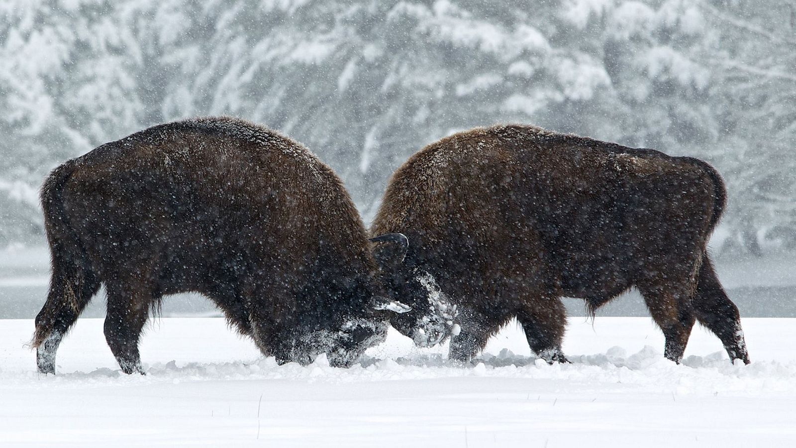 Otros documentales - Las Estaciones - ver ahora
