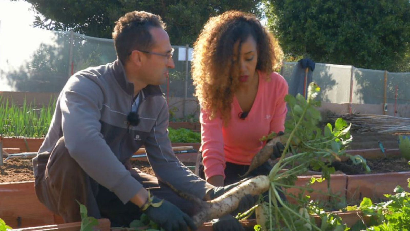 Una huerta con toque oriental