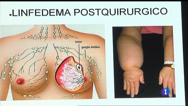 Panorama Regional 2 -  30/01/19 | Ver
