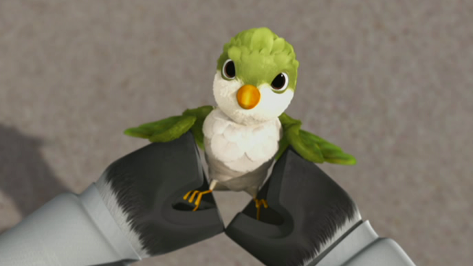 Zou y el polluelo - Zou | Ver