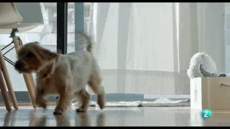 La meva mascota i jo - La trista hist�ria de la Nona