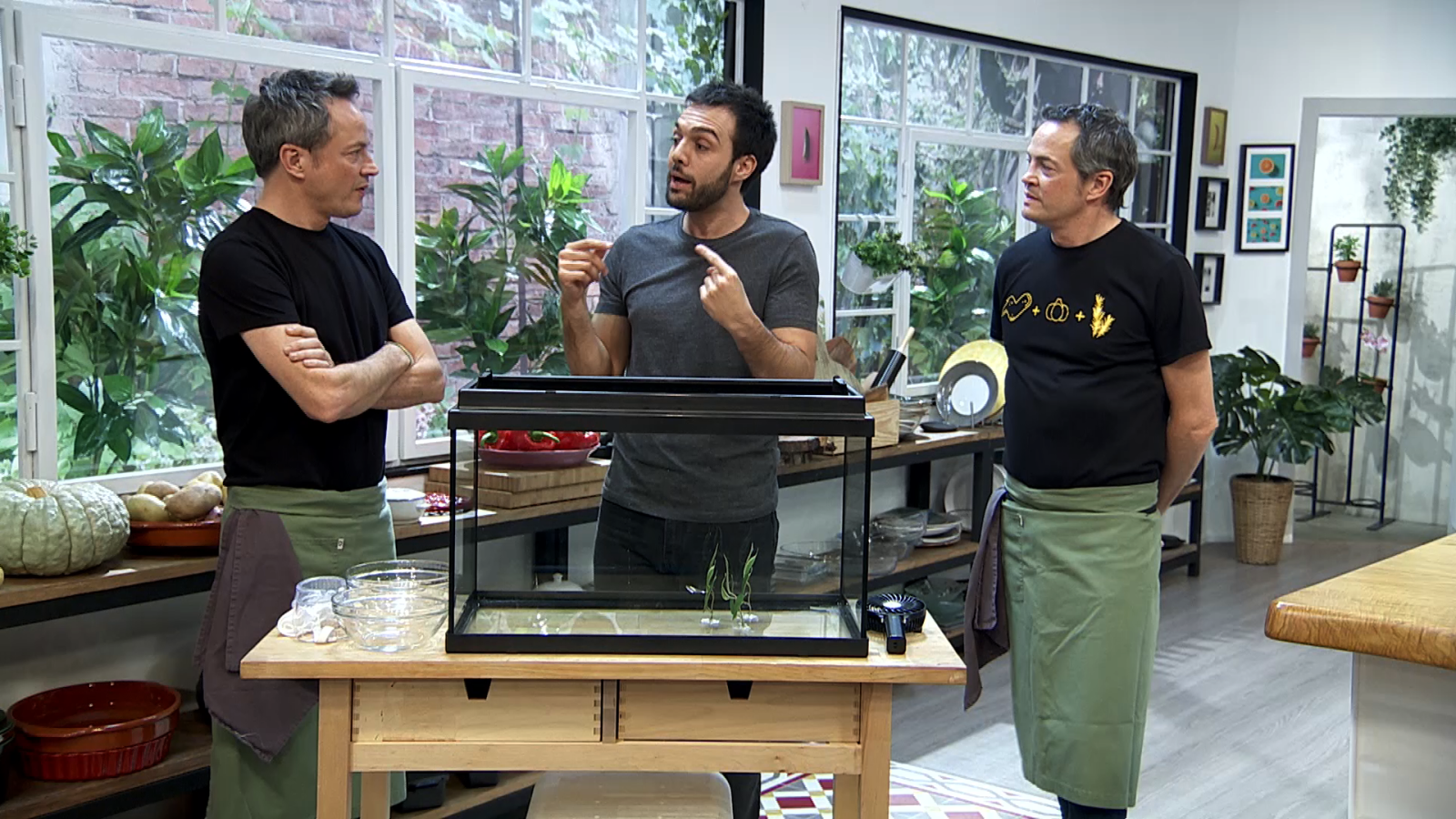 Torres en la cocina - Acelgas gratinadas y conejo con chocolate - ver ahora