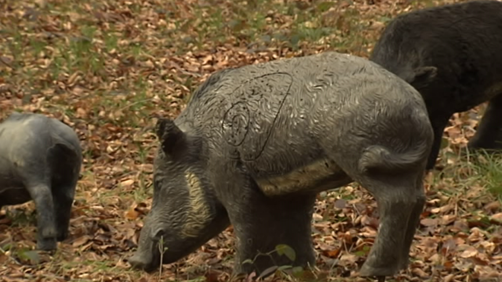 España en 24 horas - 31/01/19 - ver ahora