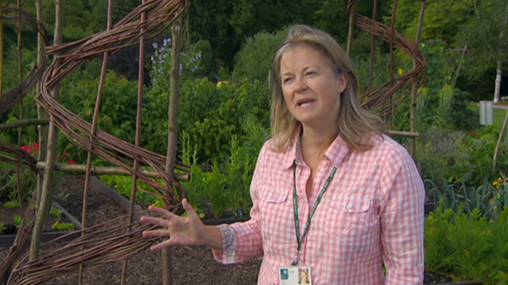 That's English - Module 8 - Unit 3B