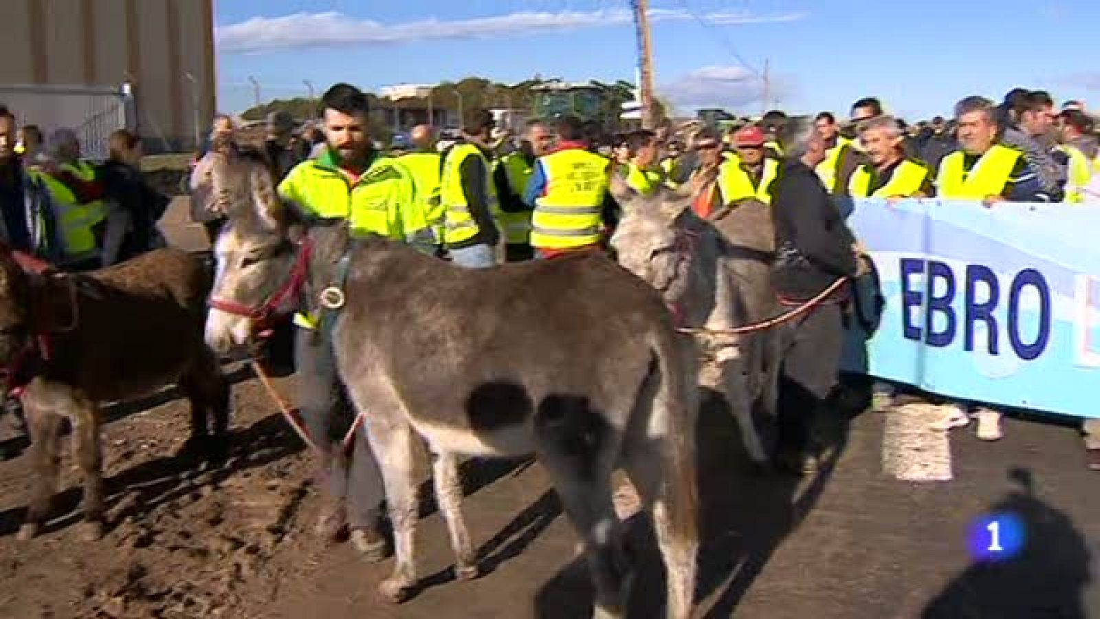 Aragón en 2¿ - 01/02/2019 | Ver