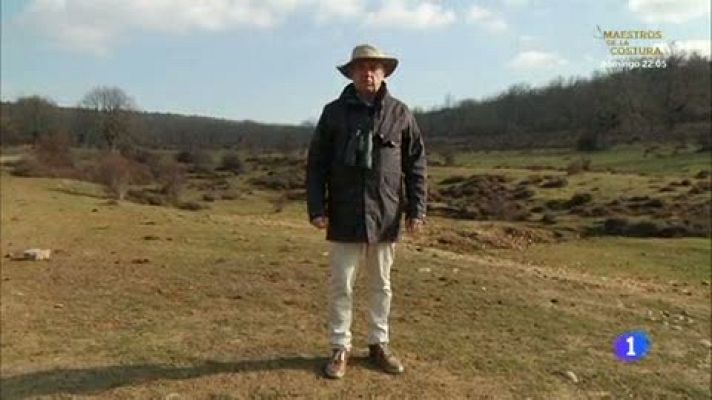 Aquí la Tierra - Animales prehistóricos en Burgos