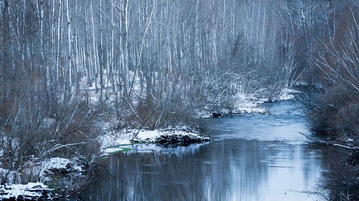 El tiempo - Nevadas importantes, viento y lluvia en la mayor parte de España