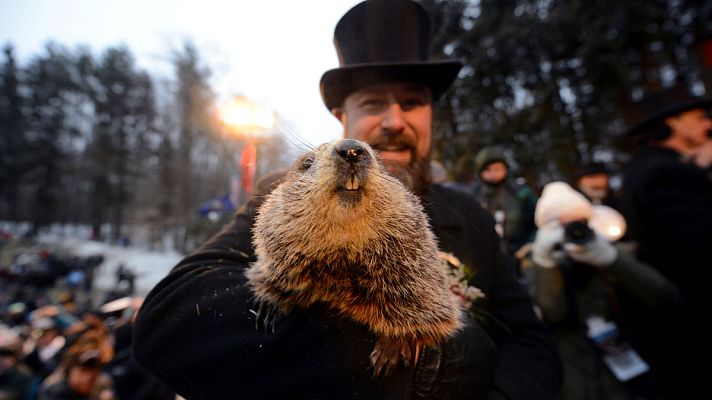Informativo 24h - La marmota Phil predice que la primavera llegará pronto a Estados Unidos