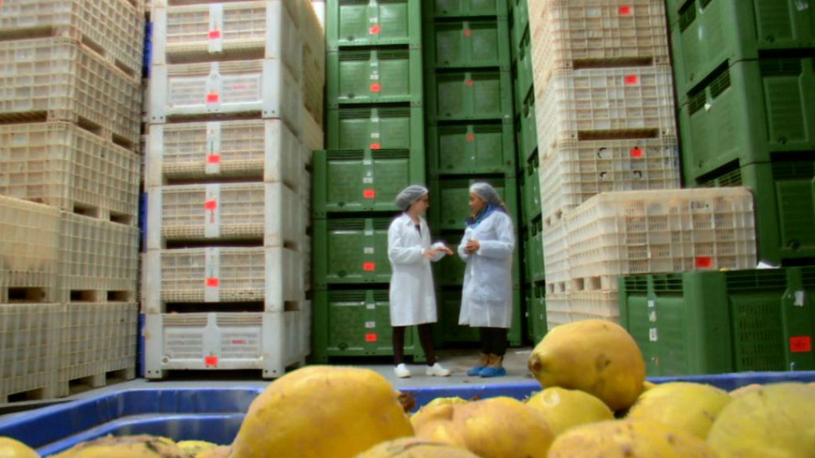 ¿Juntamos membrillo y nueces?