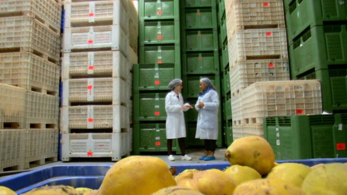 Aquí la Tierra - ¿Juntamos membrillo y nueces?