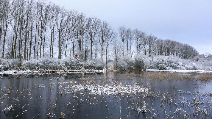 El tiempo - Heladas débiles en zonas de Baleares y calimas en Canarias