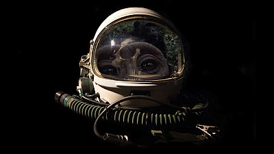 Más allá de 2001: Odiseas de la inteligencia