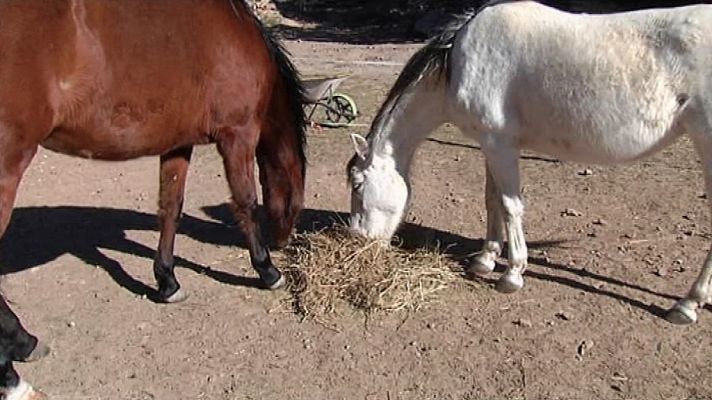L'informatiu - Comunitat Valenciana - La Comunidad Valenciana en 2' - 05/02/19