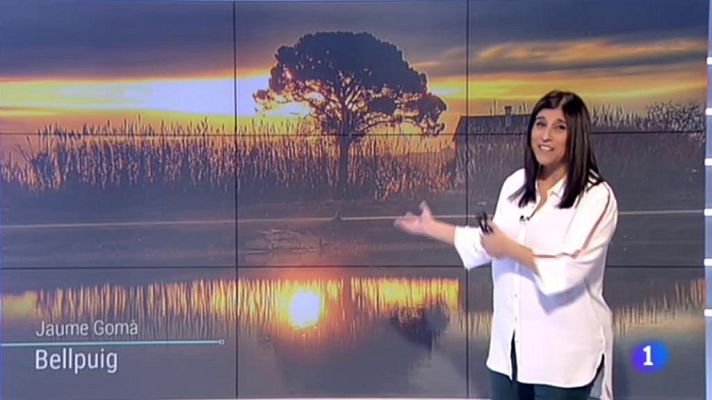 L'Informatiu - El Temps - 05/02/2019