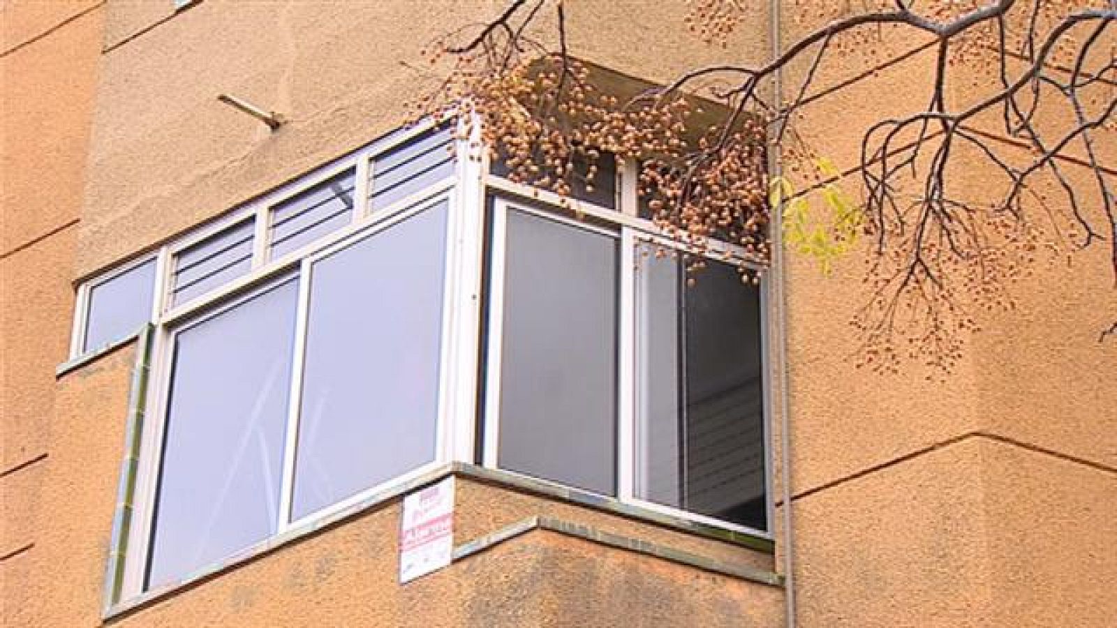 Canarias en 2' - 05/02/2019