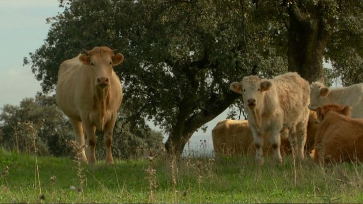 Aquí la Tierra - Aquí  la tierra - 05/02/19