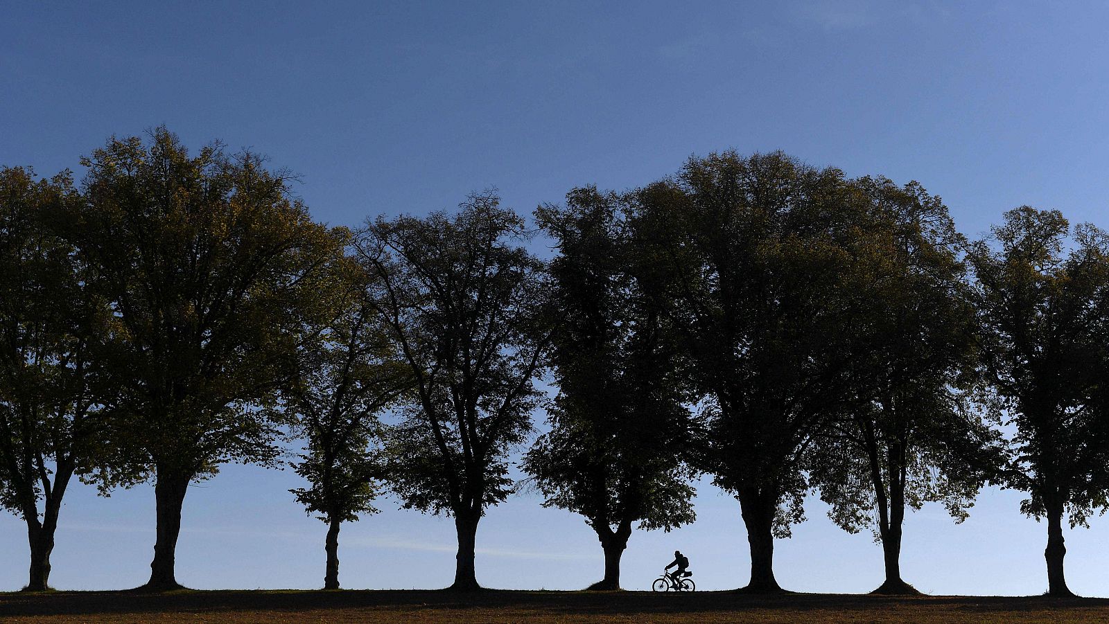 Tiempo estable y cielos poco nubosos o despejados - ver ahora