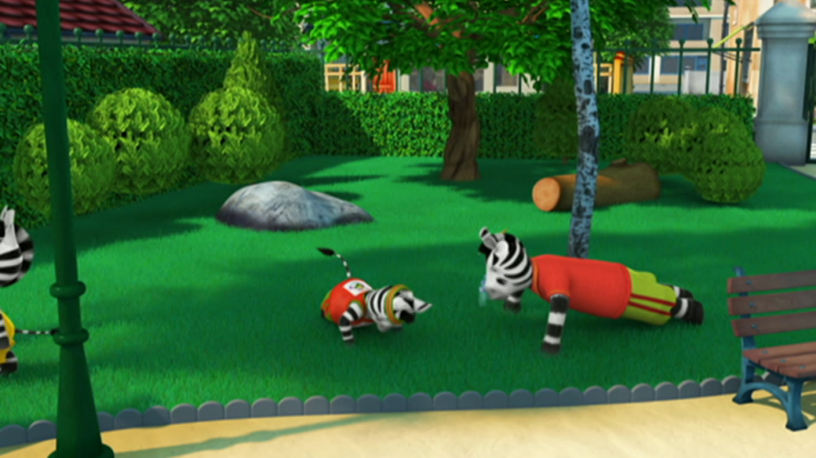 La carrera popular de Zou - Zou | Ver