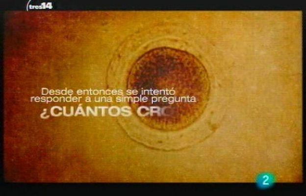 tres14 - Los cromosomas