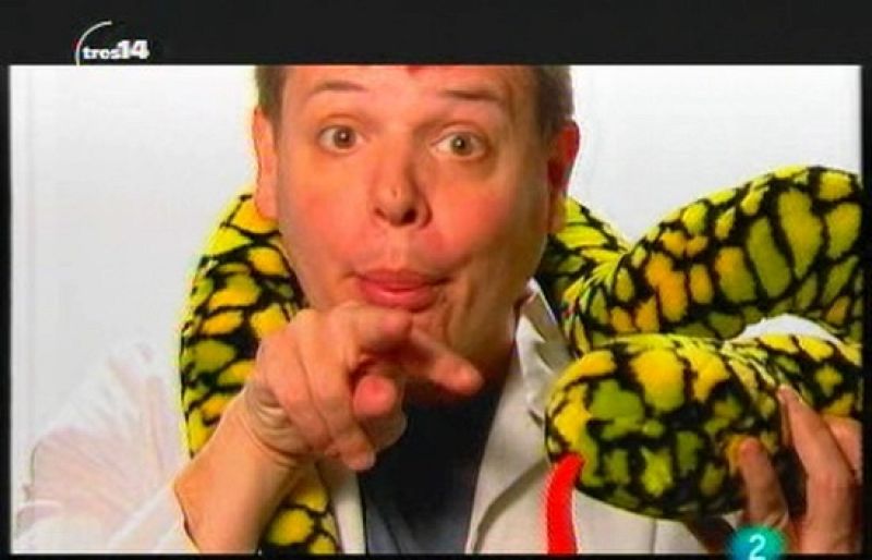 tres14 - Curiosidades - ¿Podemos no comer nada de grasa?