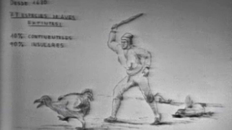 El planeta azul - Parasos o infiernos (II) - El planeta azul | Ver