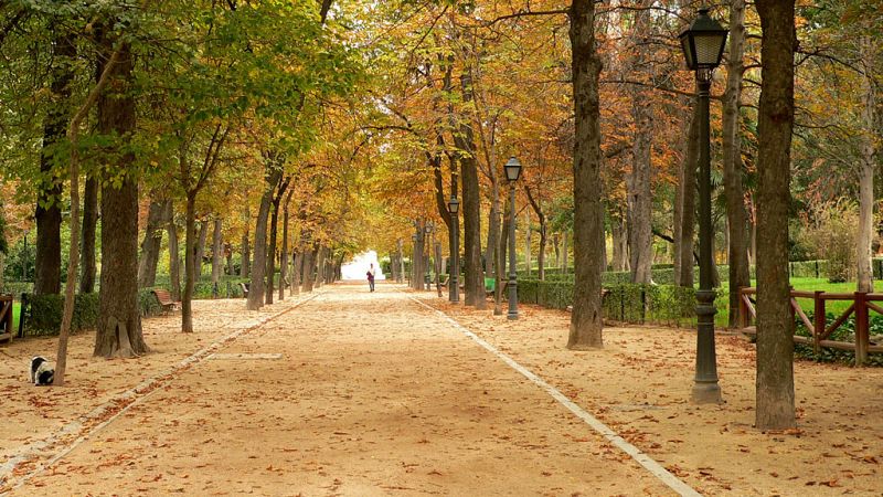 El Tiempo en la Comunidad de Madrid - 07/02/19 - ver ahora