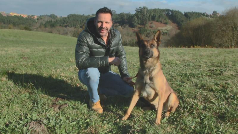 As� usan los perros sus sentidos