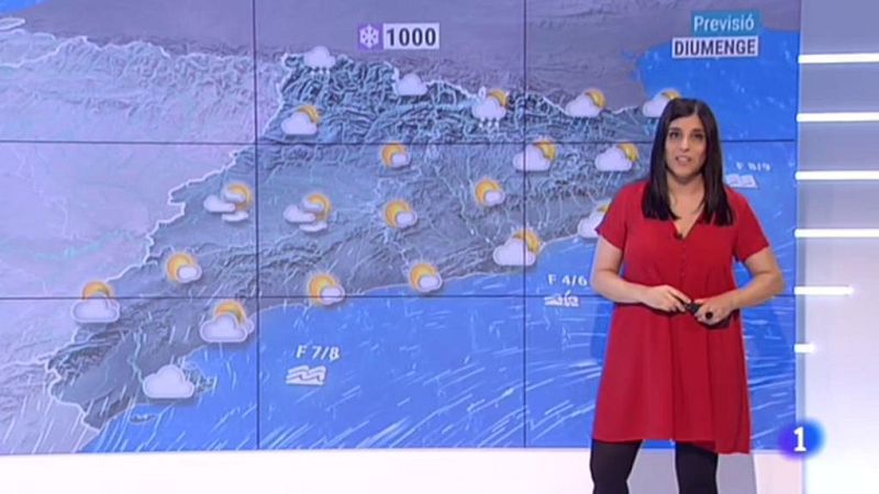 El Temps - 08/02/2019