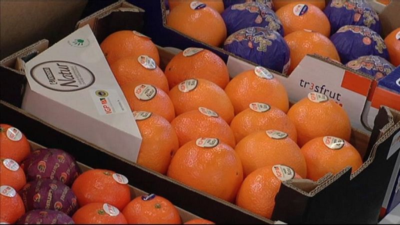 L'Informatiu - Comunitat Valenciana 2 - 08/02/19 - ver ahora